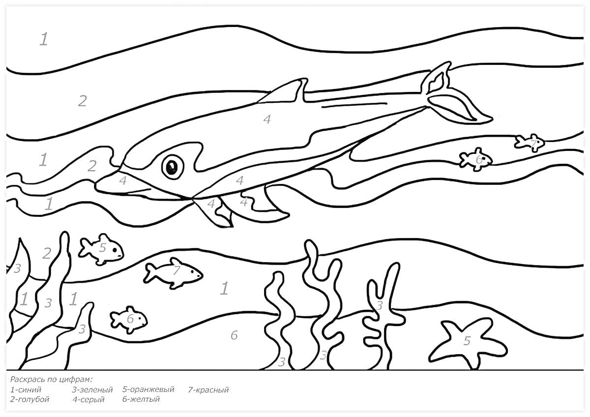 Раскраска Дельфин и подводный мир с рыбами, водорослями и морской звездой
