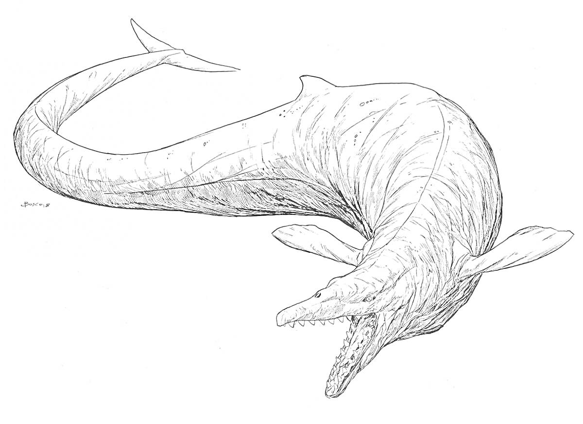 Раскраска Мозазавр с длинным хвостом и зубастой пастью