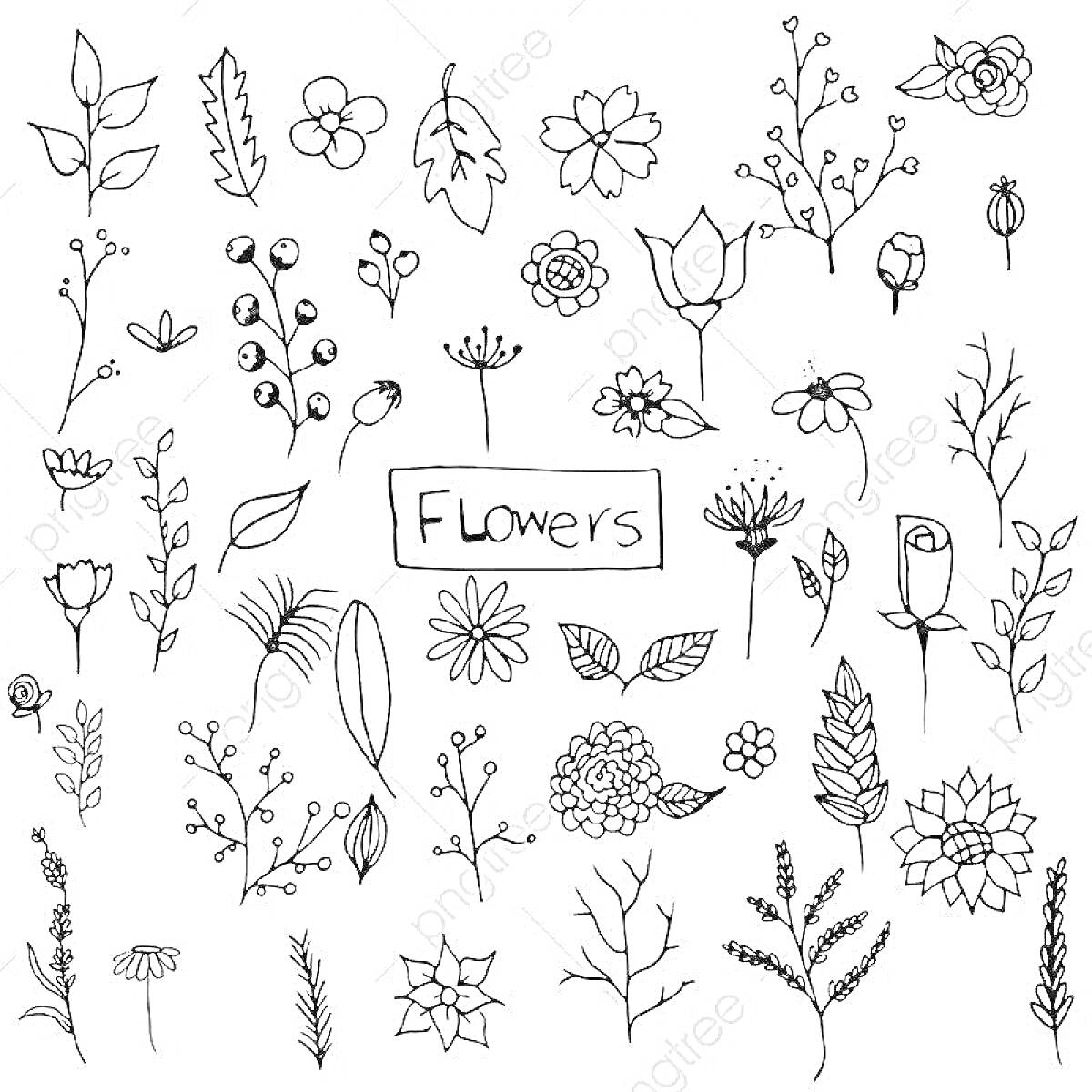 Раскраска Разнообразные стилизованные цветы и листья