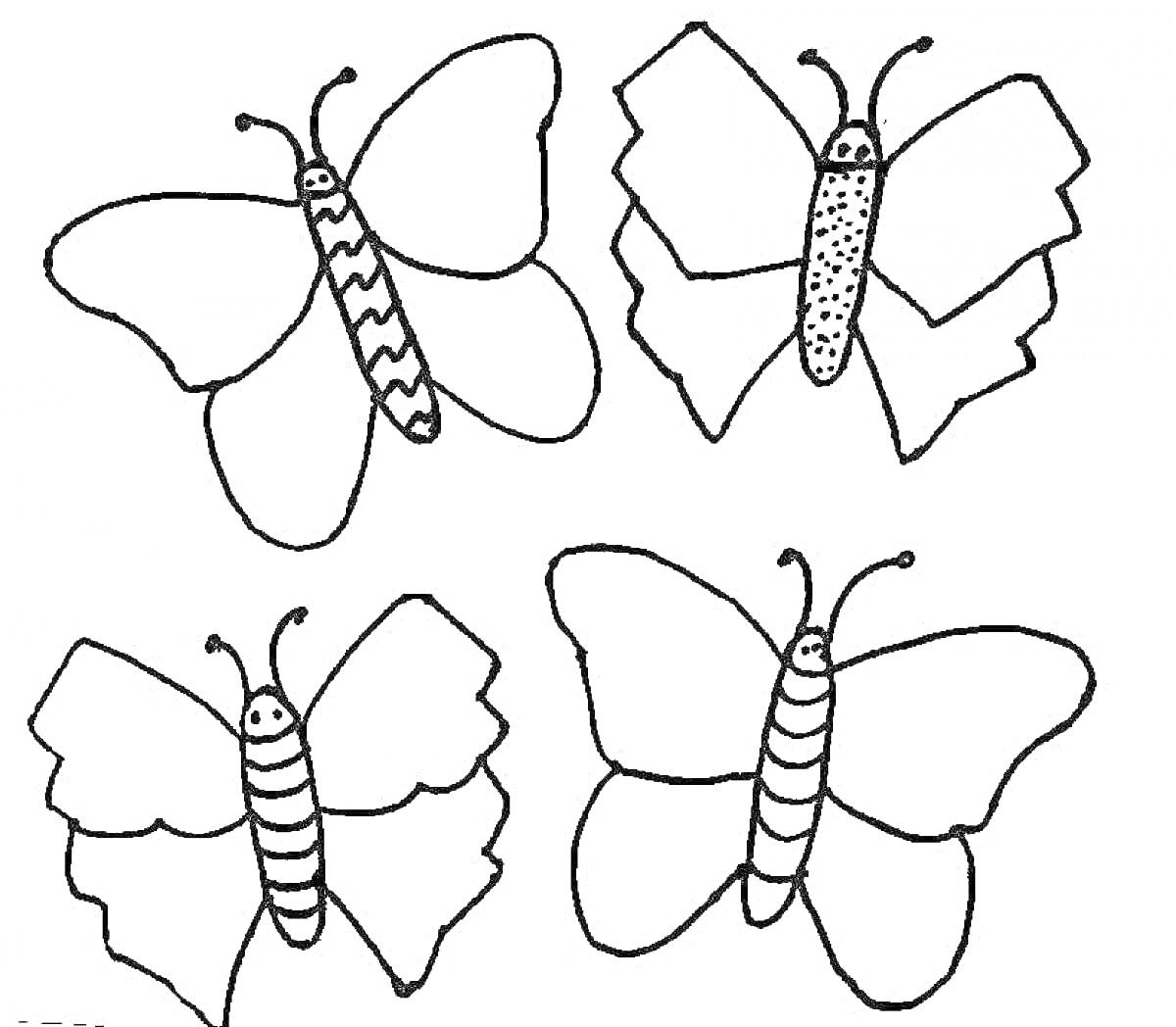 Раскраска Четыре бабочки с различными узорами на крыльях и телах