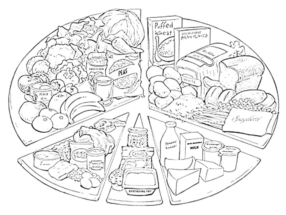 Раскраска Разнообразие продуктов питания: овощи, фрукты, консервированные продукты, мясо, рыба, яйца, молочные продукты, злаки, хлебобулочные изделия, напитки