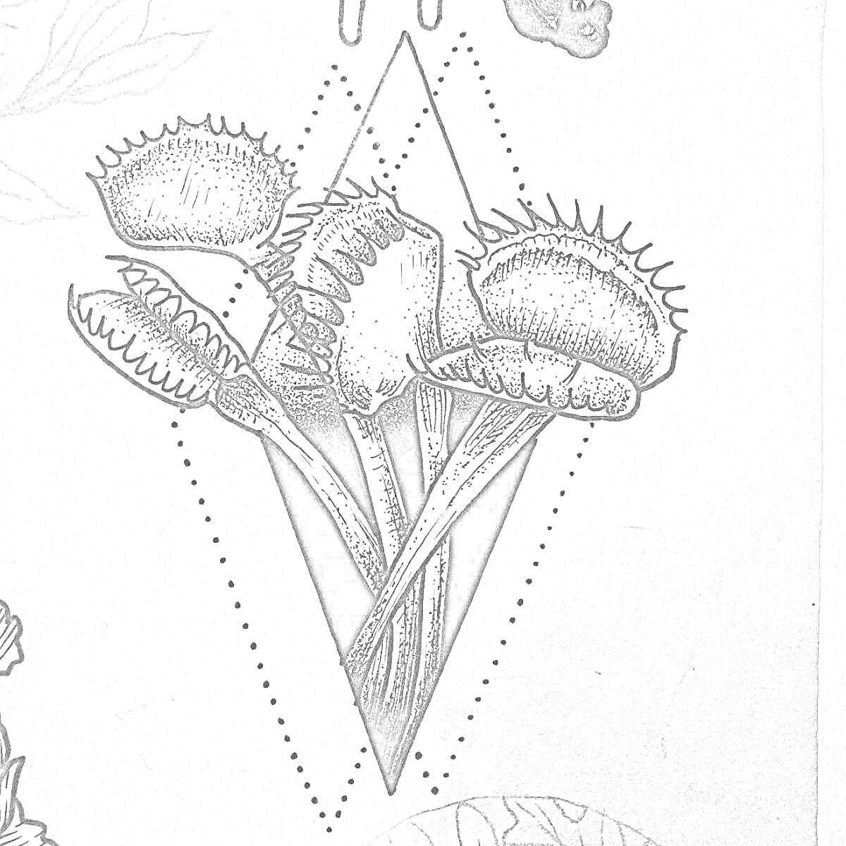 На раскраске изображено: Хищные растения, Венерина мухоловка, Графика, Точки, Ботаника