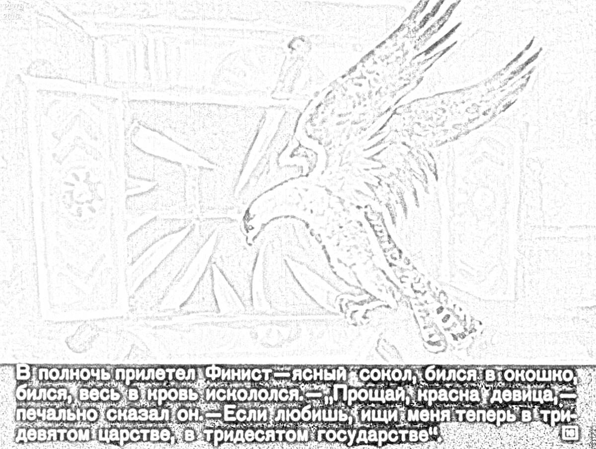 На раскраске изображено: Сокол, Ночь, Крылья, Кровь, Текст