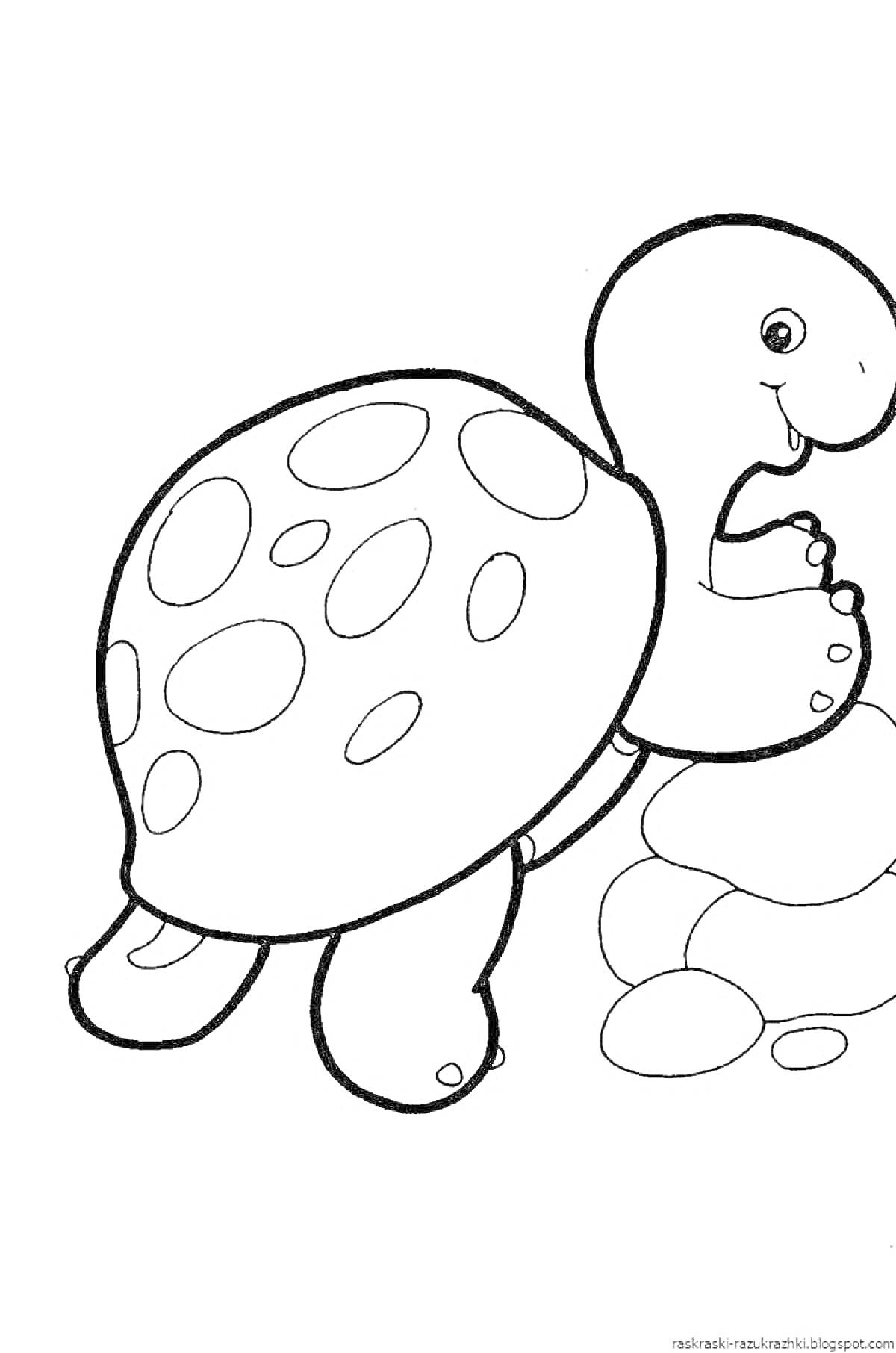 На раскраске изображено: Черепаха, Животные, Камни, 3 года, 4 года, Для детей