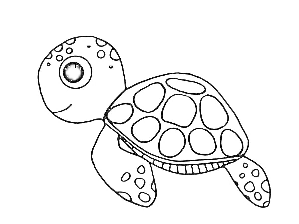 Раскраска черепаха с круглыми элементами на панцире