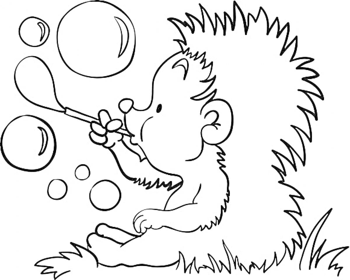 На раскраске изображено: Мыльные пузыри, Трава, Животные, Детское творчество, Отдых на природе, Еж