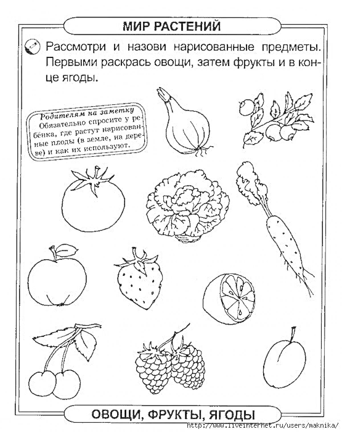 Раскраска Мир растений: помидор, лук, виноград, груша, яблоко, клубника, лимон, морковь, вишня, малина