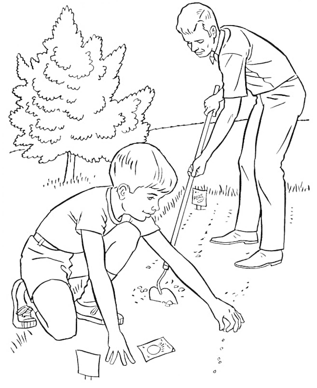 Раскраска Папа и сын сажают семена в саду, на заднем плане два дерева