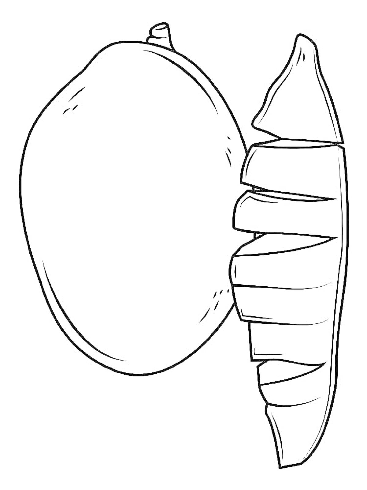 На раскраске изображено: Манго, Ломтики, Целый фрукт, Еда