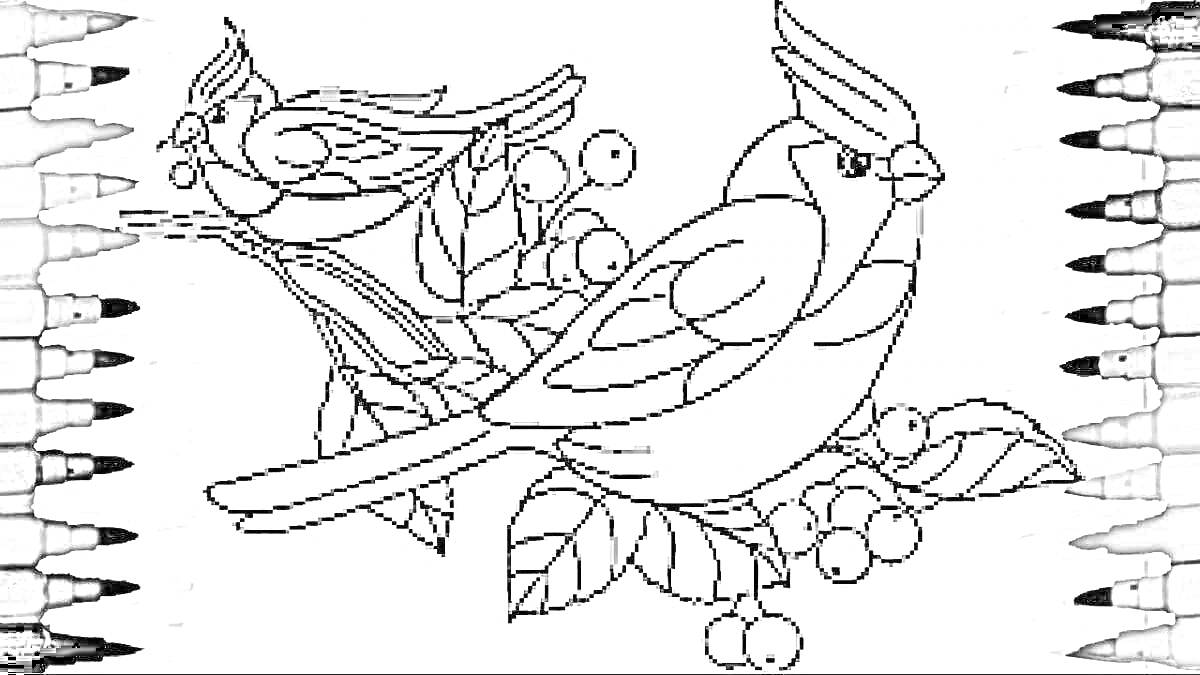 На раскраске изображено: Ветка, Ягоды, Природа, Перья, Листва, Для детей, Птица