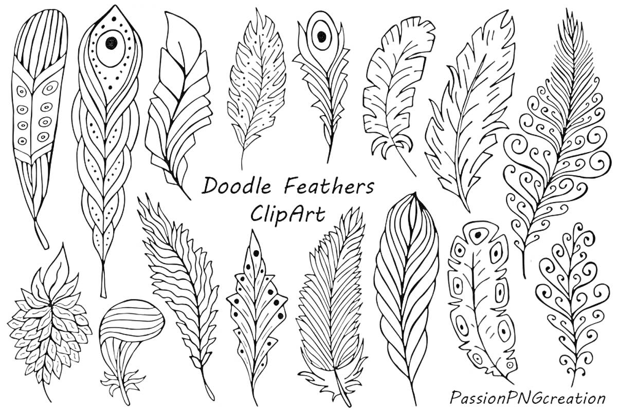 Раскраска Перья: различные стили перьев с узорами и деталями