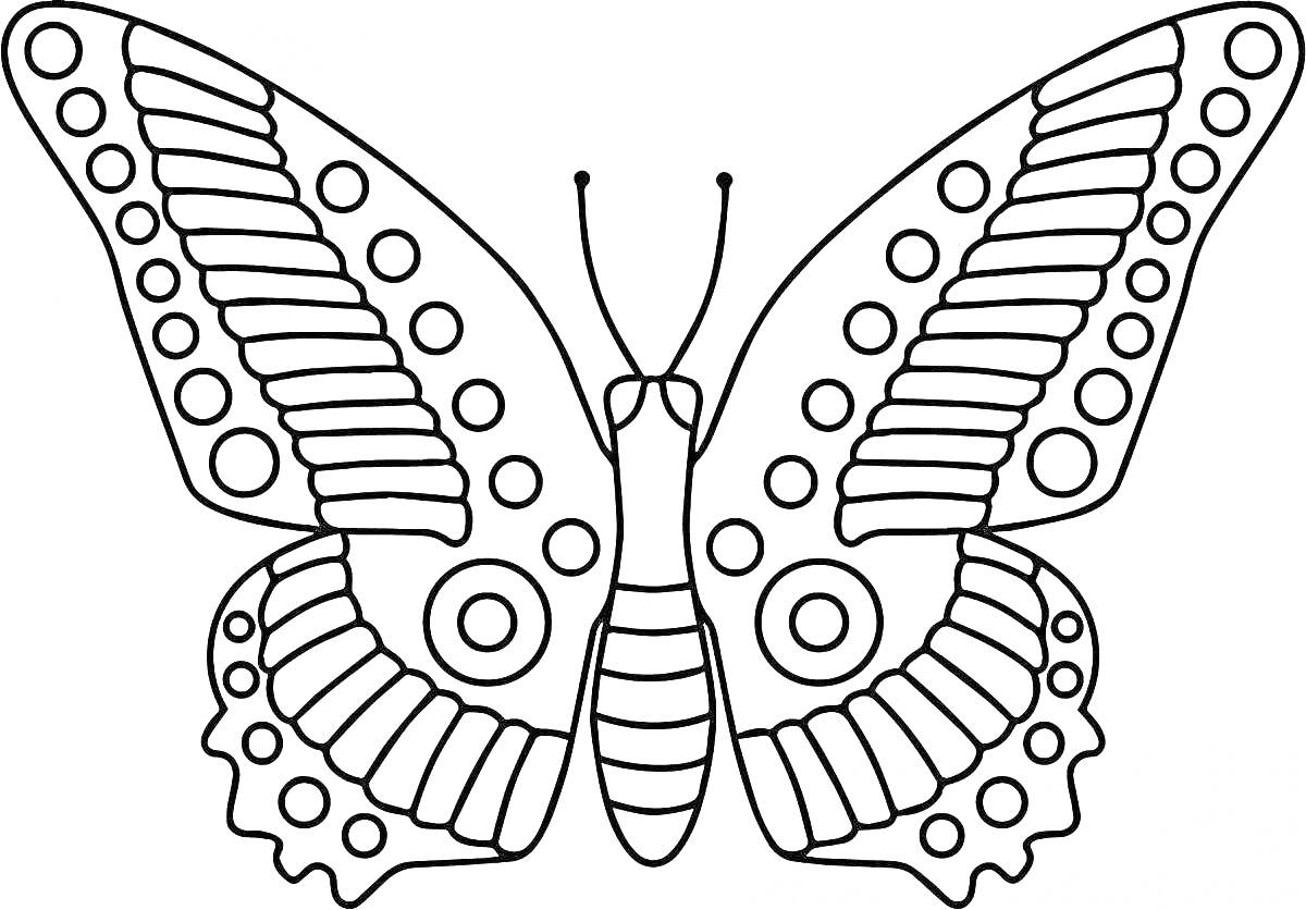 На раскраске изображено: Бабочка, 6-7 лет, Узоры, Крылья, Антенны, Для детей, Контурные рисунки