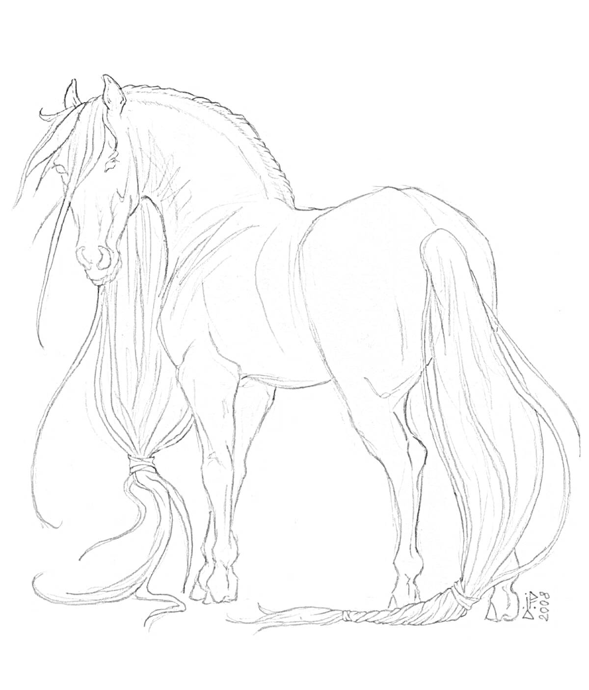 На раскраске изображено: Лошадь, Реалистичная, Длинная грива, Длинный хвост