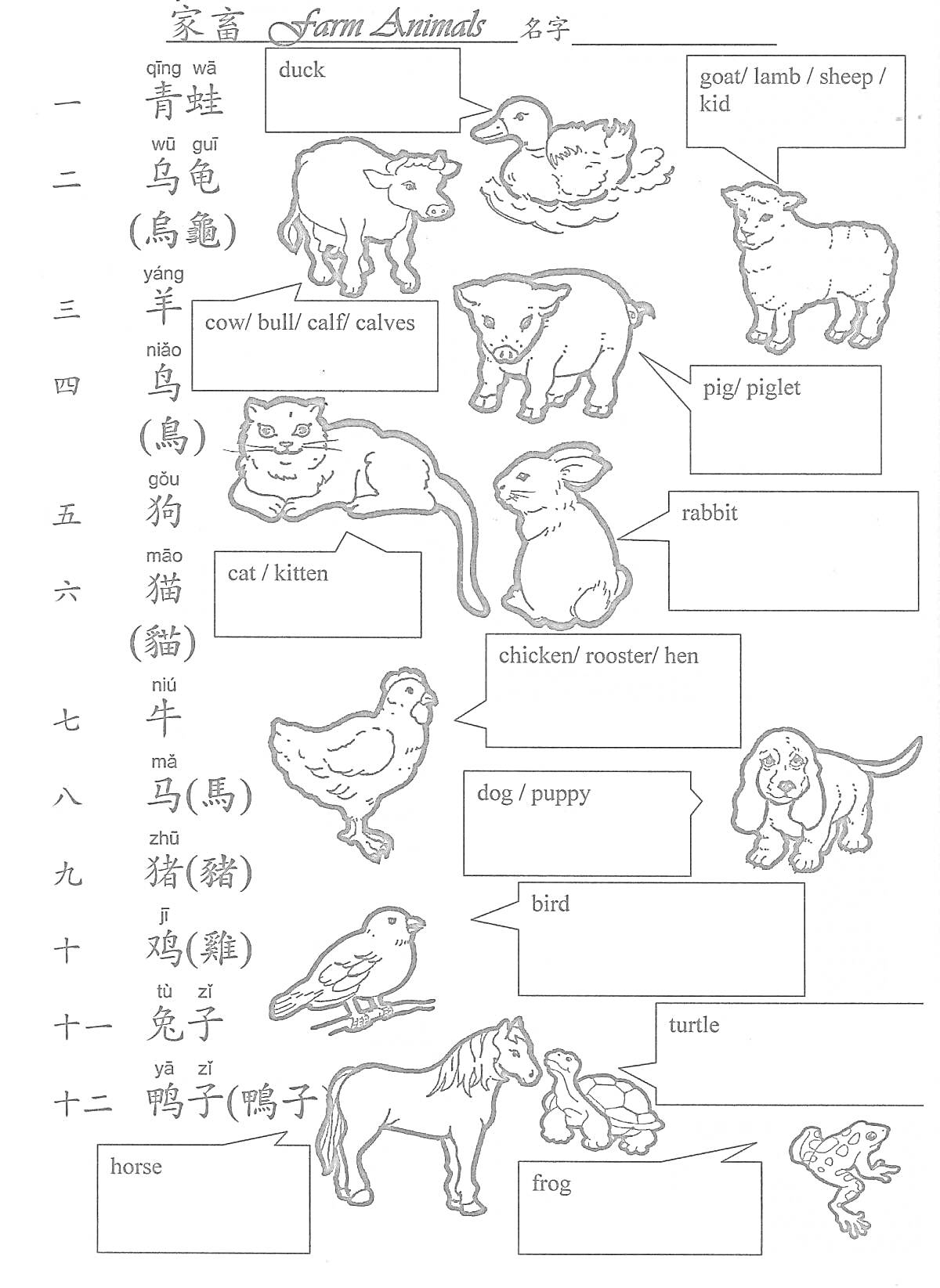 Раскраска Раскраска с подписями животных на китайском языке