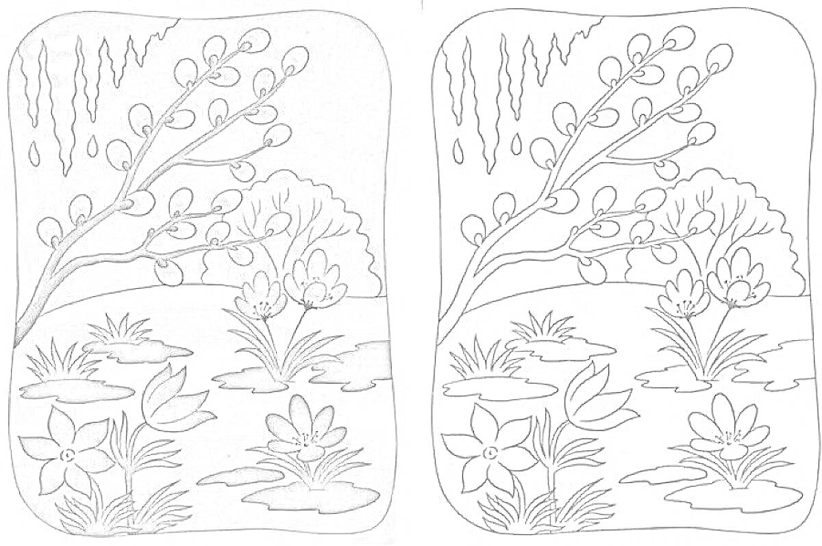 Раскраска Верба и цветы на весеннем болоте