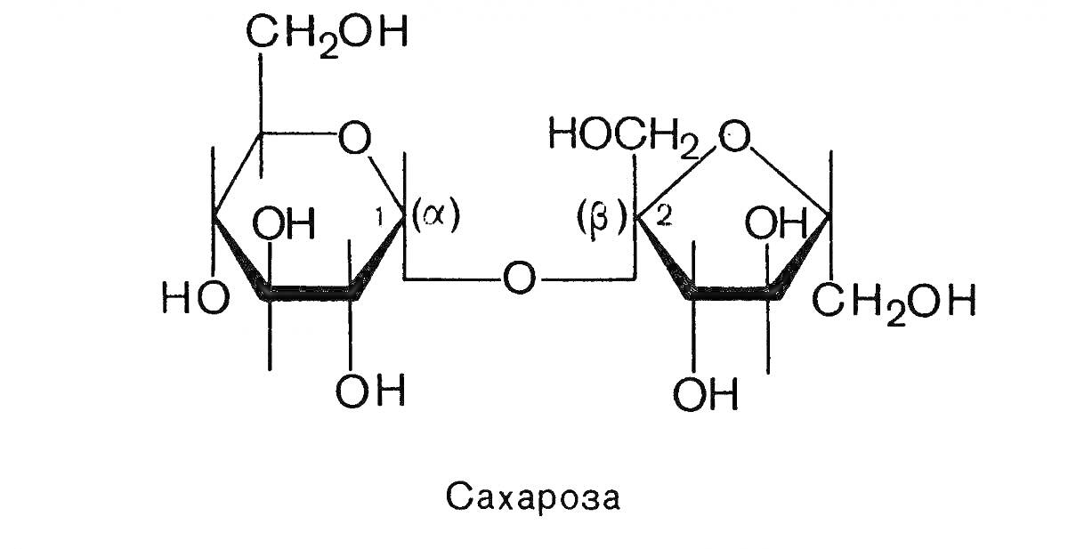 На раскраске изображено: Сахароза, Органическая химия