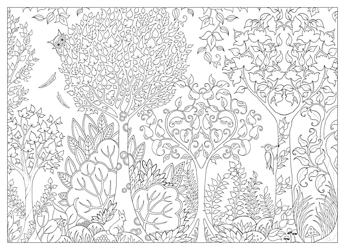 Раскраска Таинственный лес с разнообразными деревьями, кустарниками, цветами, птицами и бабочками