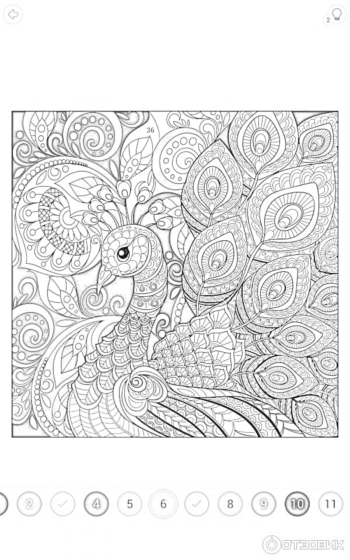 Раскраска Павлиний бюст с декоративными перьями на фоне узоров