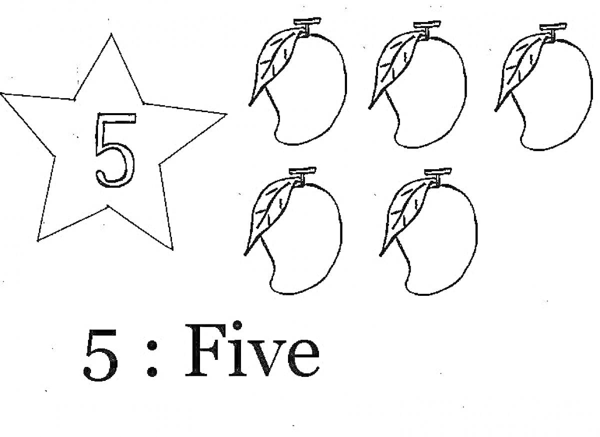 Раскраска Цифра 5, звезда, пять манго, надпись 