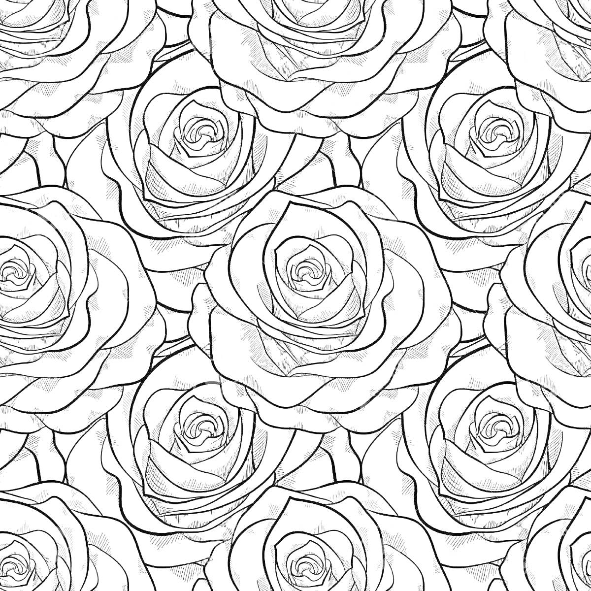 Раскраска Роза, узор из множества роз на черном фоне