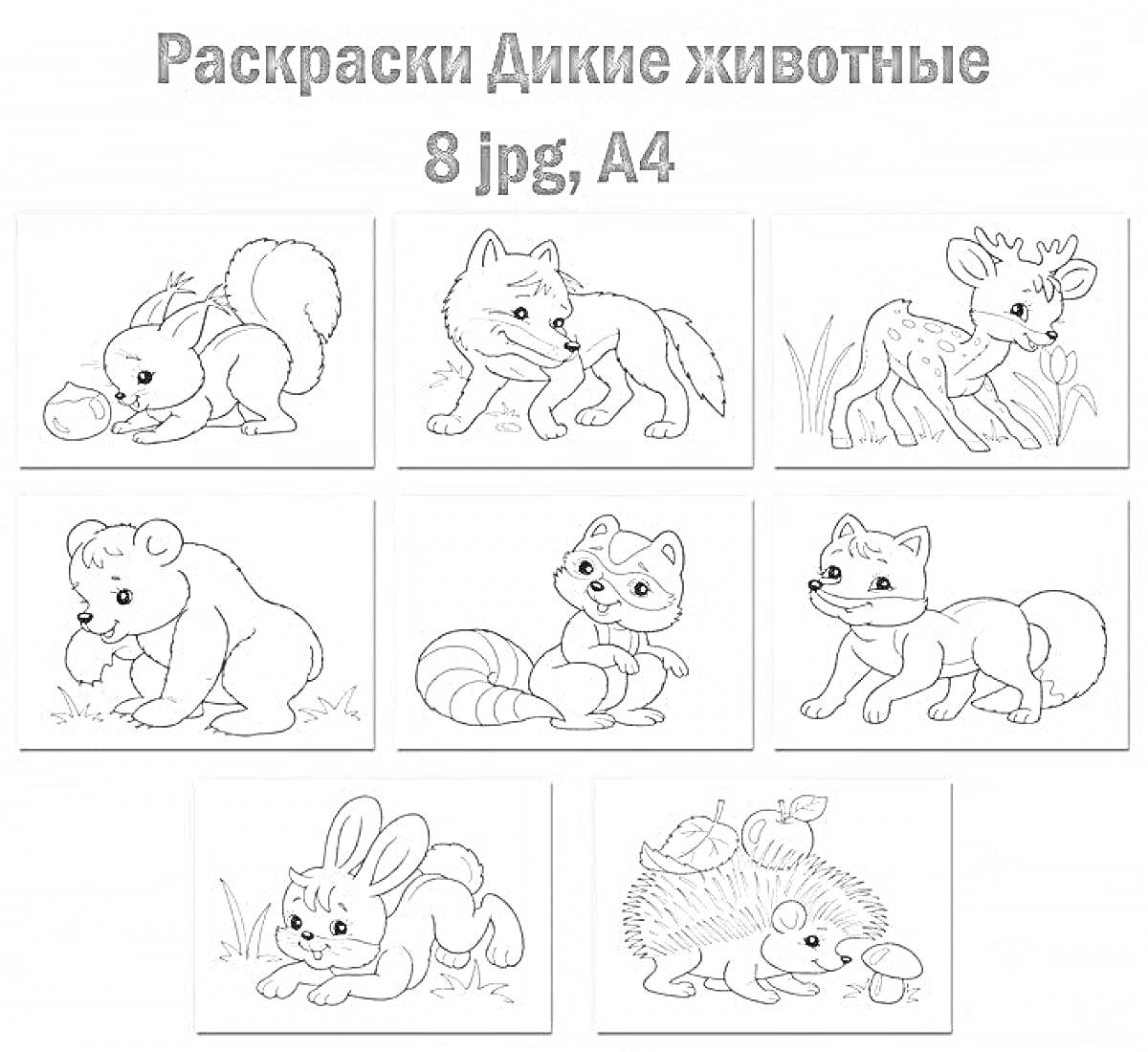 На раскраске изображено: Дикие животные, Белка, Волк, Енот, Еж, Грибы, 5-6 лет