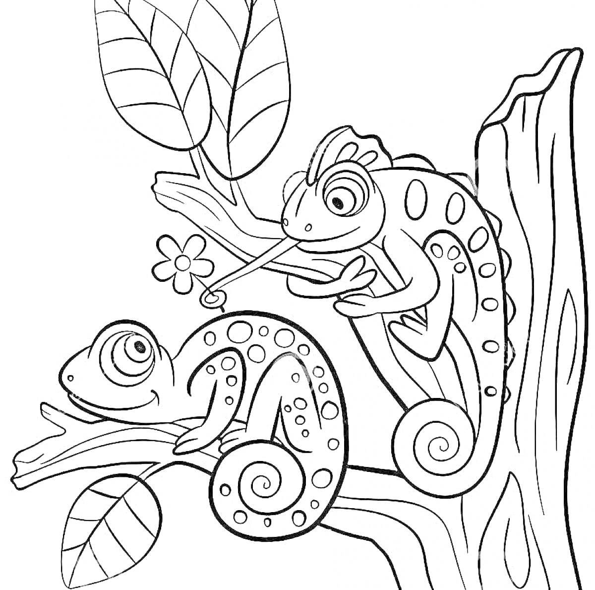 Раскраска Хамелеоны на дереве с цветком и листьями