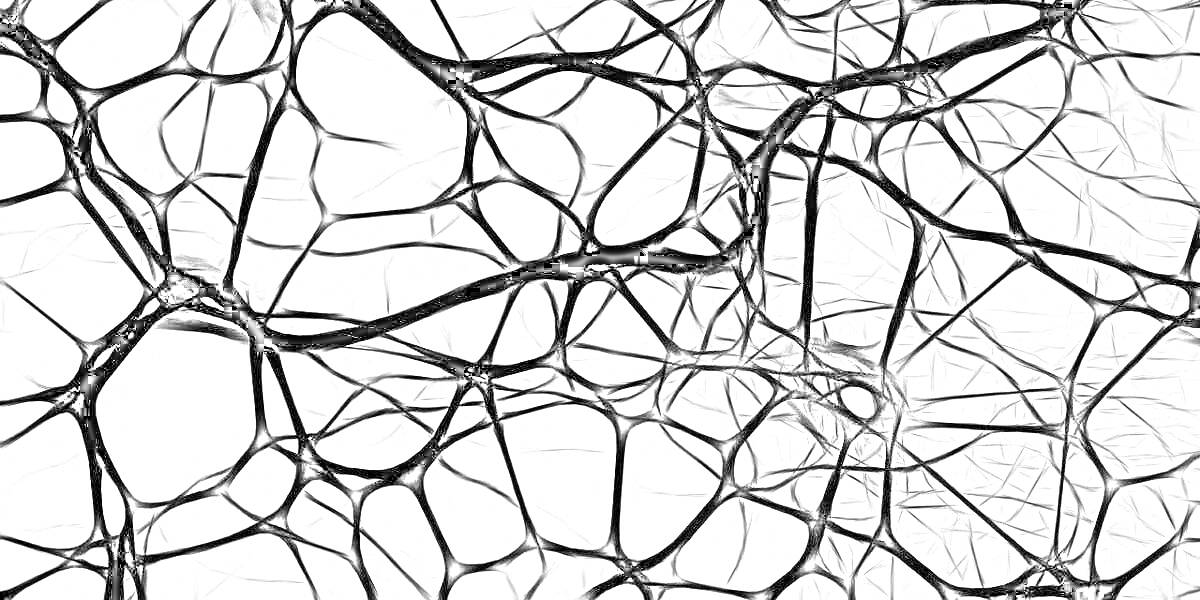 Раскраска Черно-белая структура нейросети