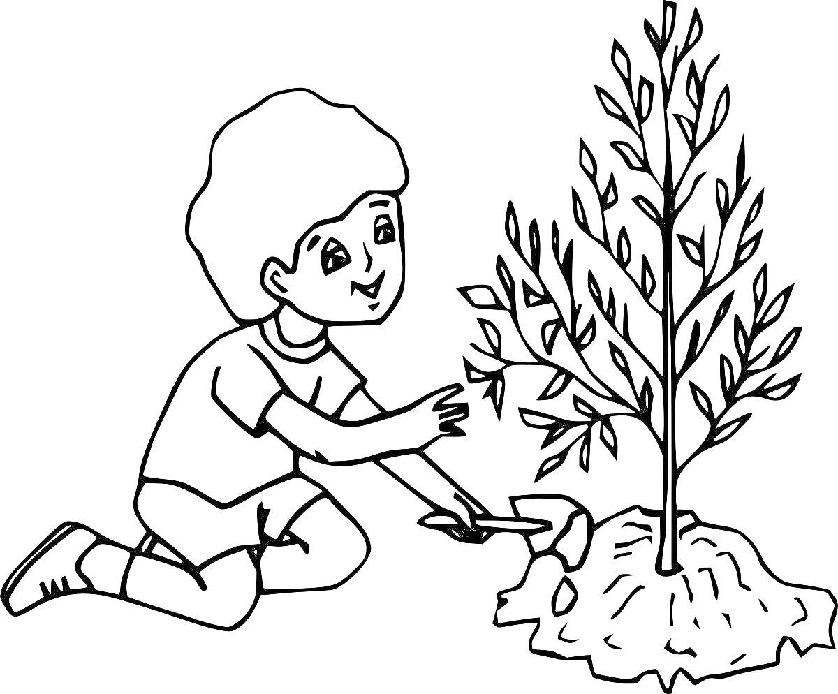 Раскраска Ребенок сажает дерево