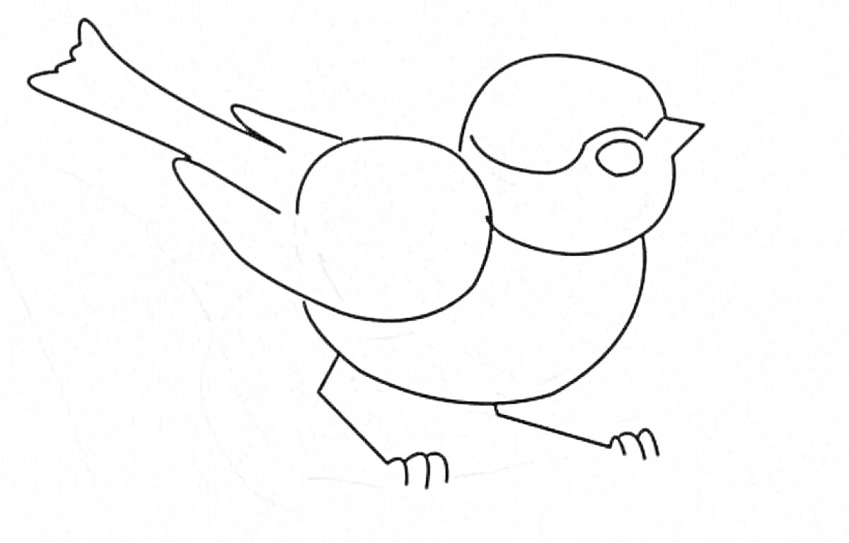 На раскраске изображено: Птица, 4-5 лет, Природа, Для детей, Животные, Контурные рисунки, Синица