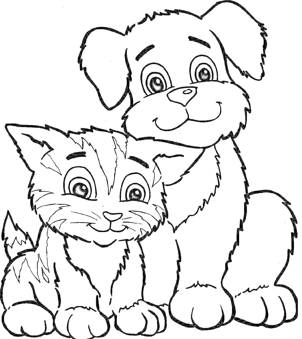 Раскраска Котенок и щенок, сидящие рядом