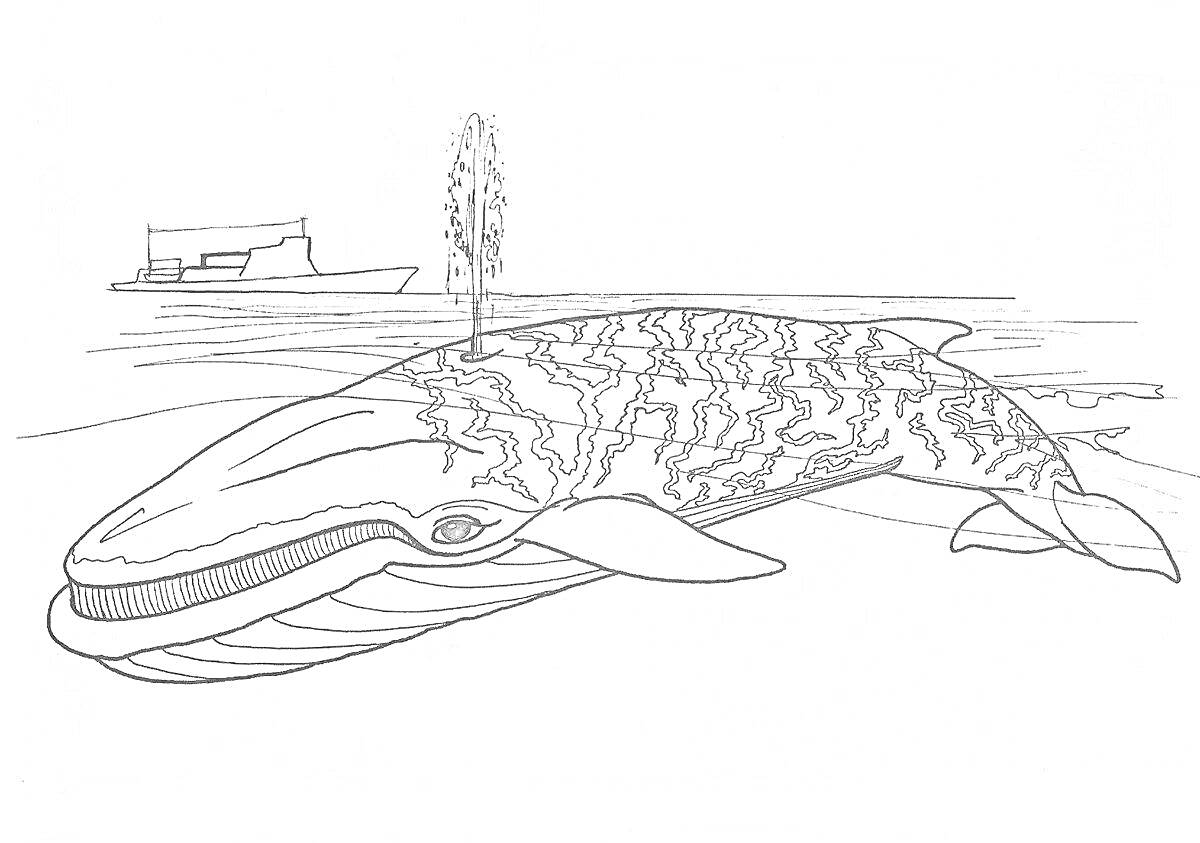 Раскраска горбатый кит в океане с лодкой и деревом на заднем плане