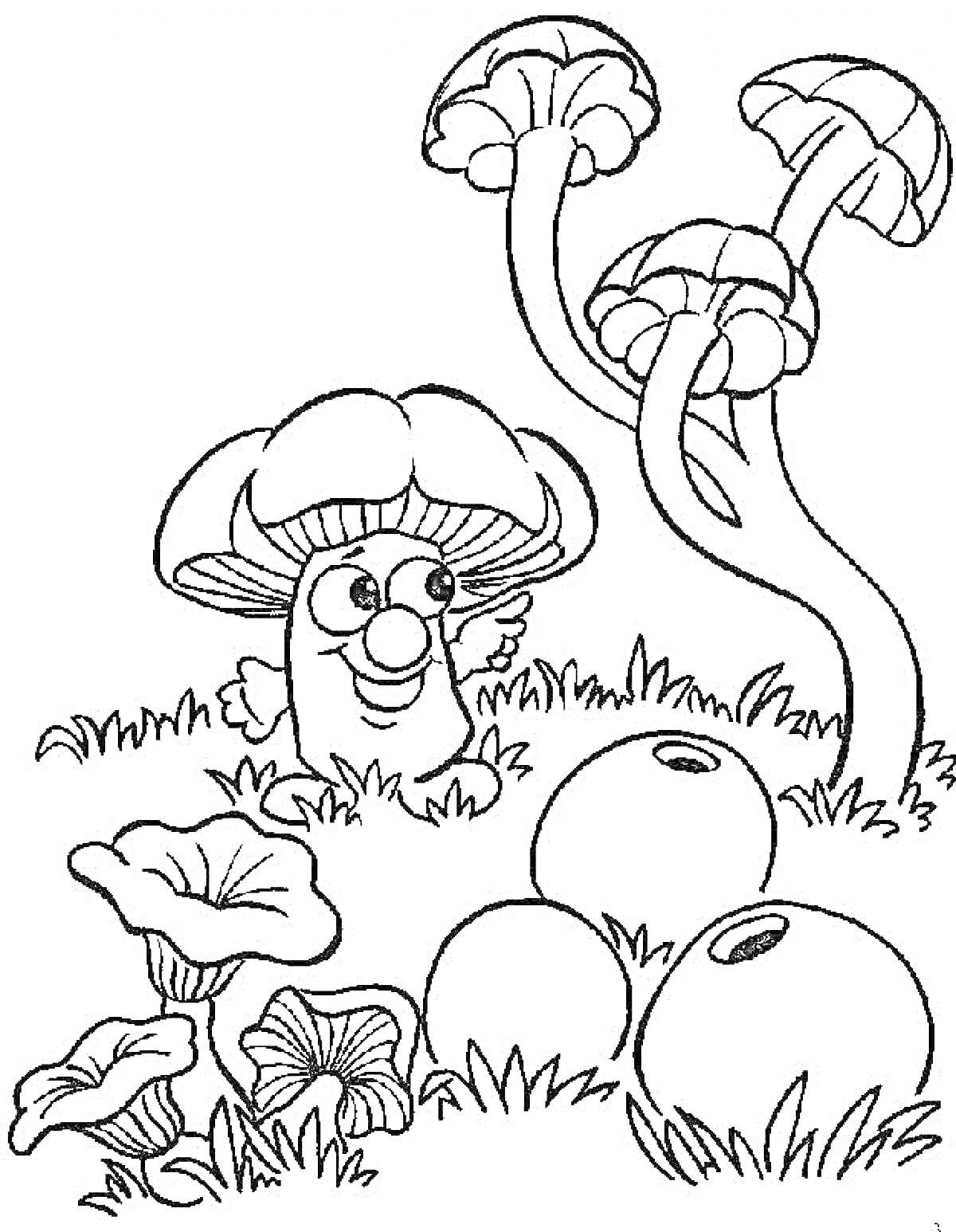 Раскраска Сказочный гриб в траве, грибы на ветви, круглые камни, трава