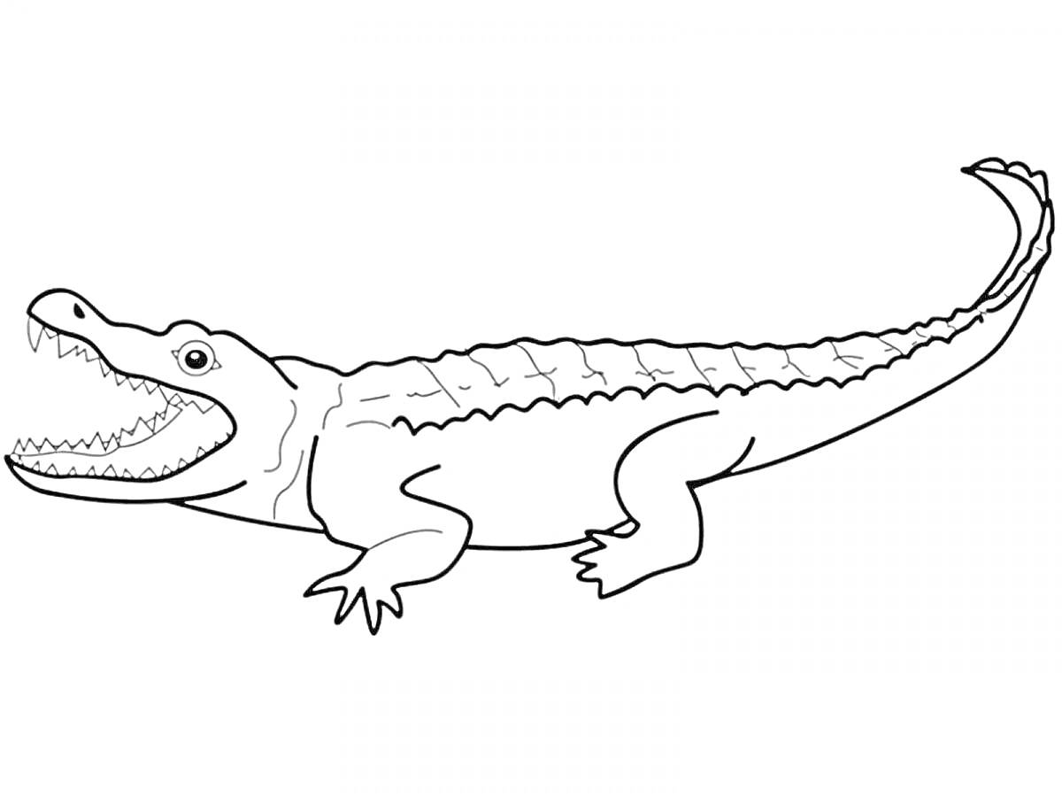 Раскраска крокодил с открытой пастью, повернутый вправо