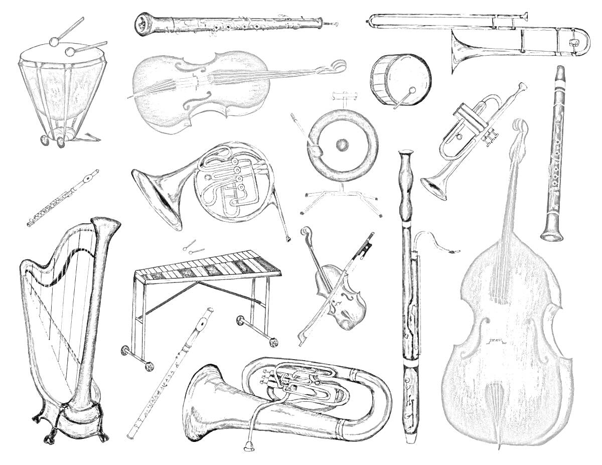 Раскраска Симфонический оркестр - литавра, скрипка, валторна, рожок, труба, блокфлейта, кларнет, виолончель, арфа, ксилофон, контрабас, флейта, треугольник, тарелки, клавесин, тарелка, гобой, туба