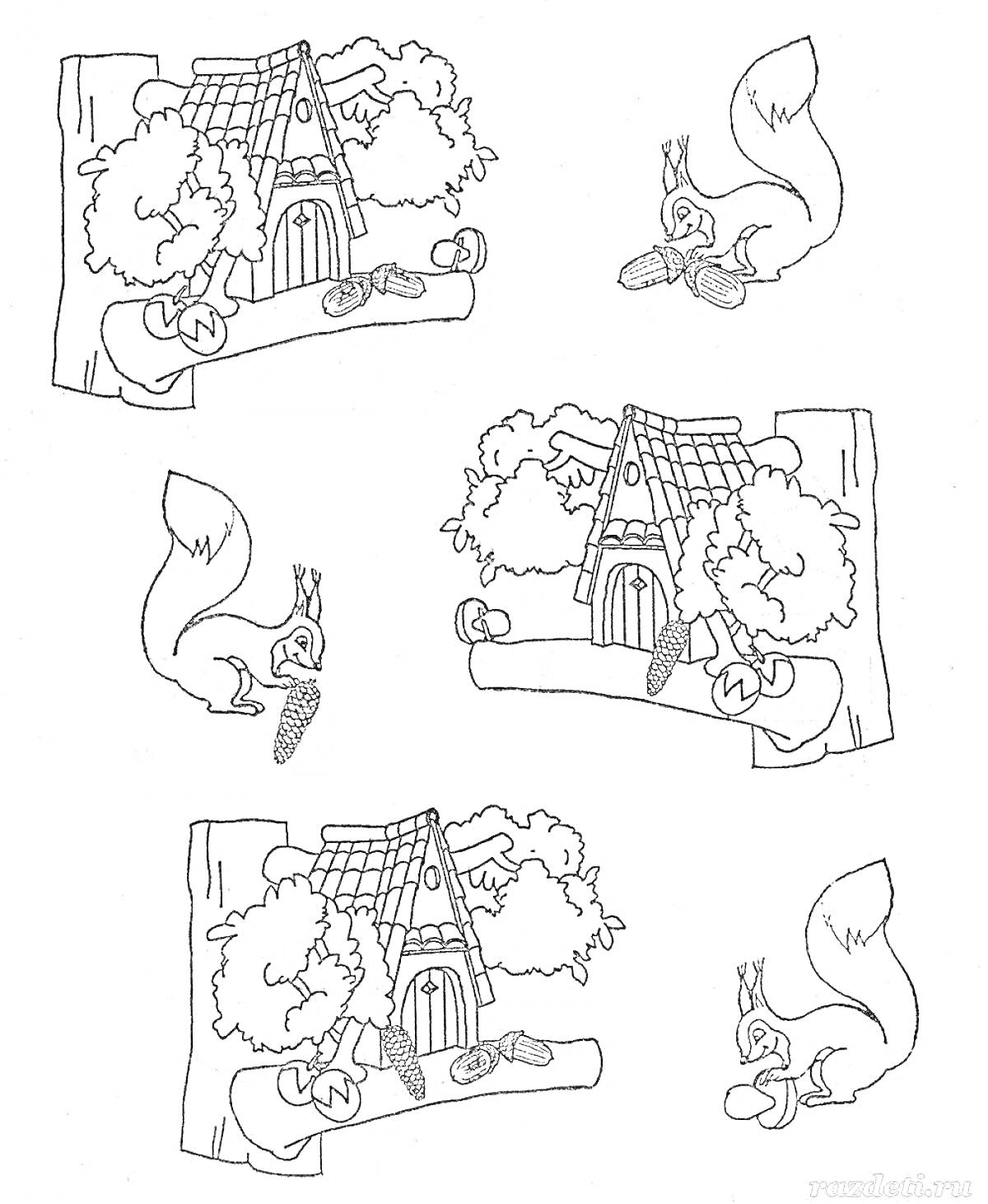 Раскраска Белки и их домики на дереве с орехами