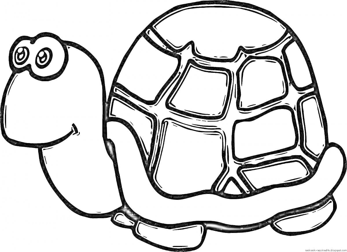 Раскраска Черепаха с толстым контуром