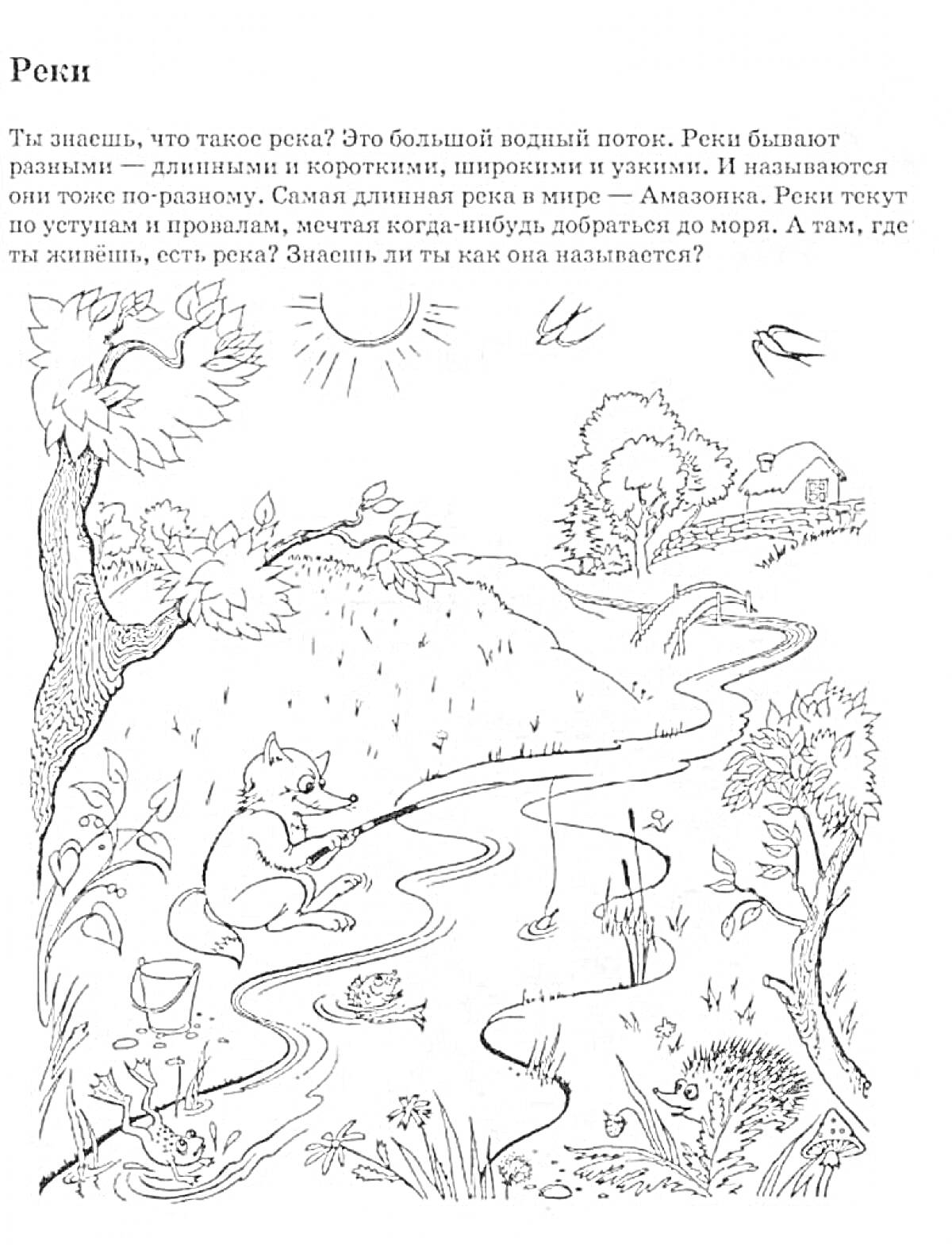 Раскраска Куда текут реки: лесной пейзаж с берегами реки, утки, деревья, кусты, цветы, лисица, ёж, утенок, птенец, птицы, планета