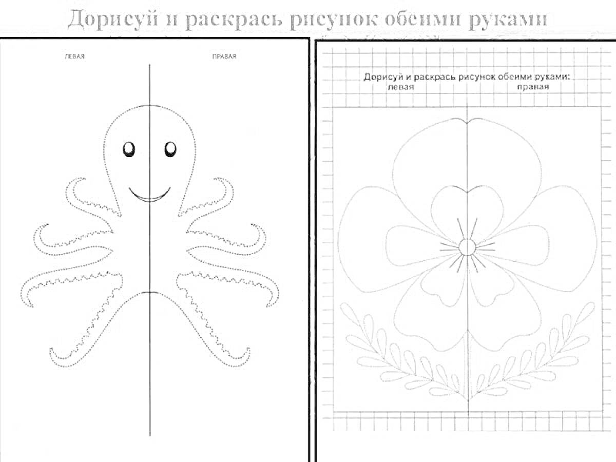 На раскраске изображено: Листья, Сетка, Симметрия