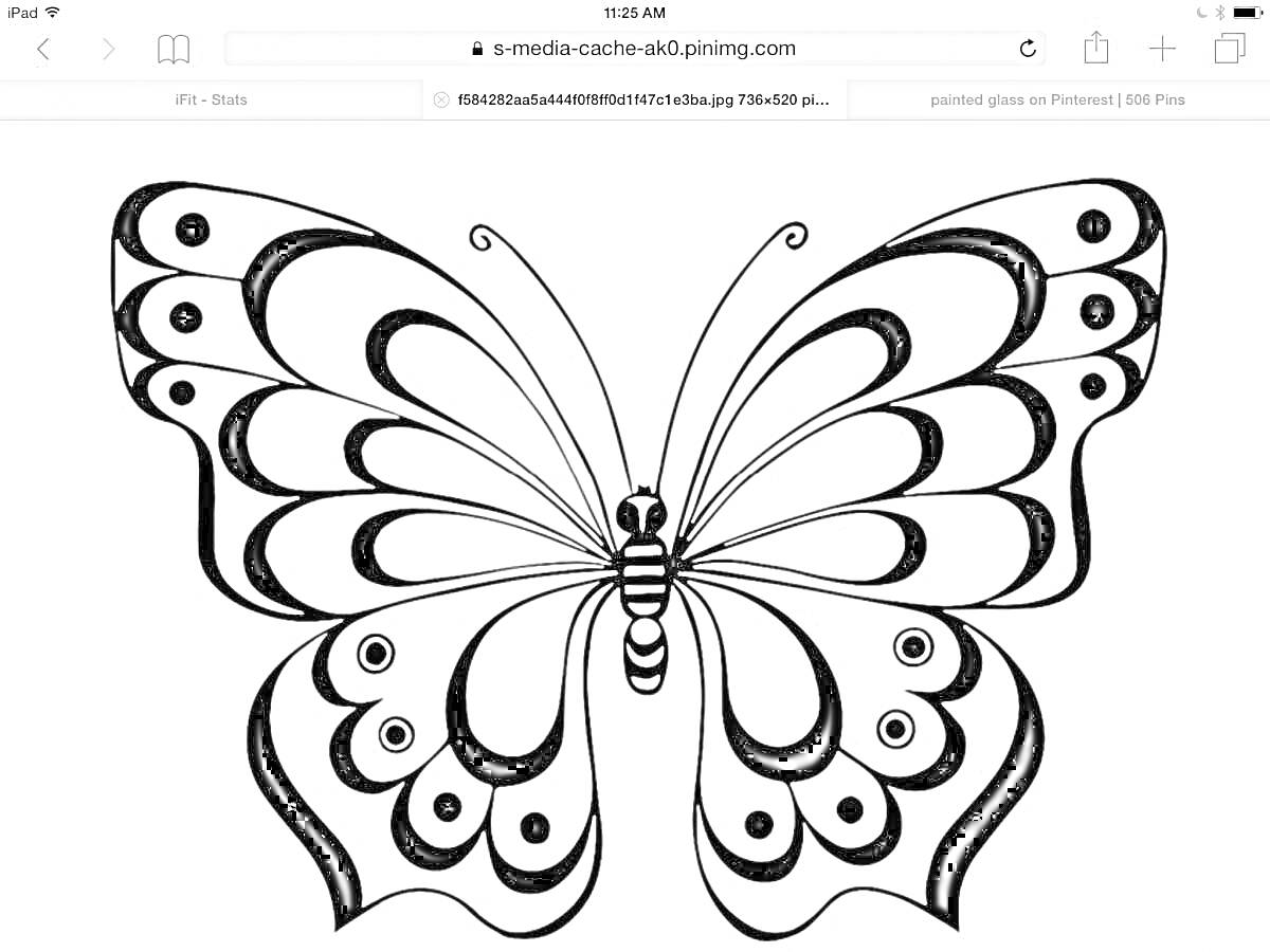 На раскраске изображено: Бабочка, Узоры, Крылья