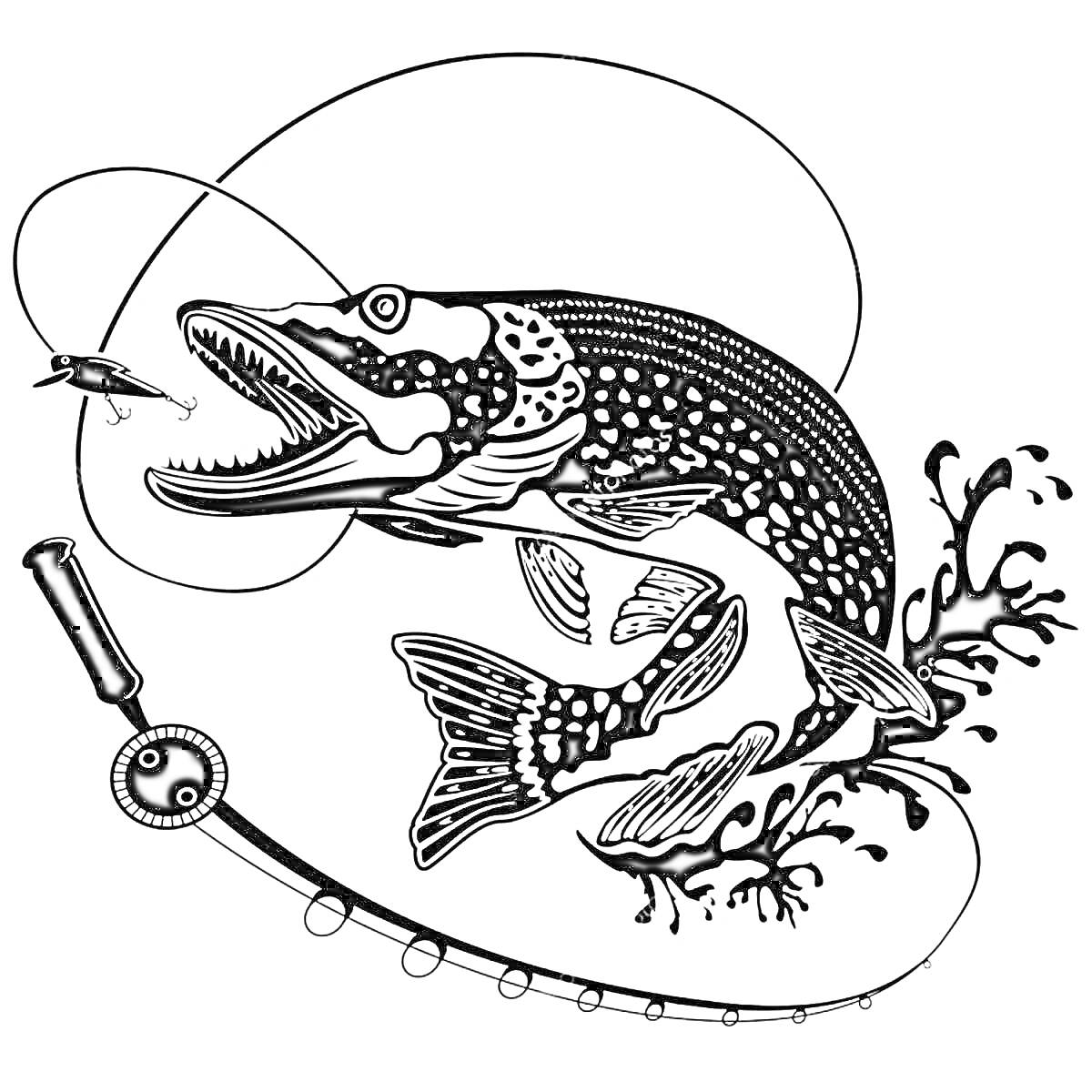 На раскраске изображено: Щука, Воблер, Рыбалка, Вода, Брызги, Хищная рыба, Поплавок