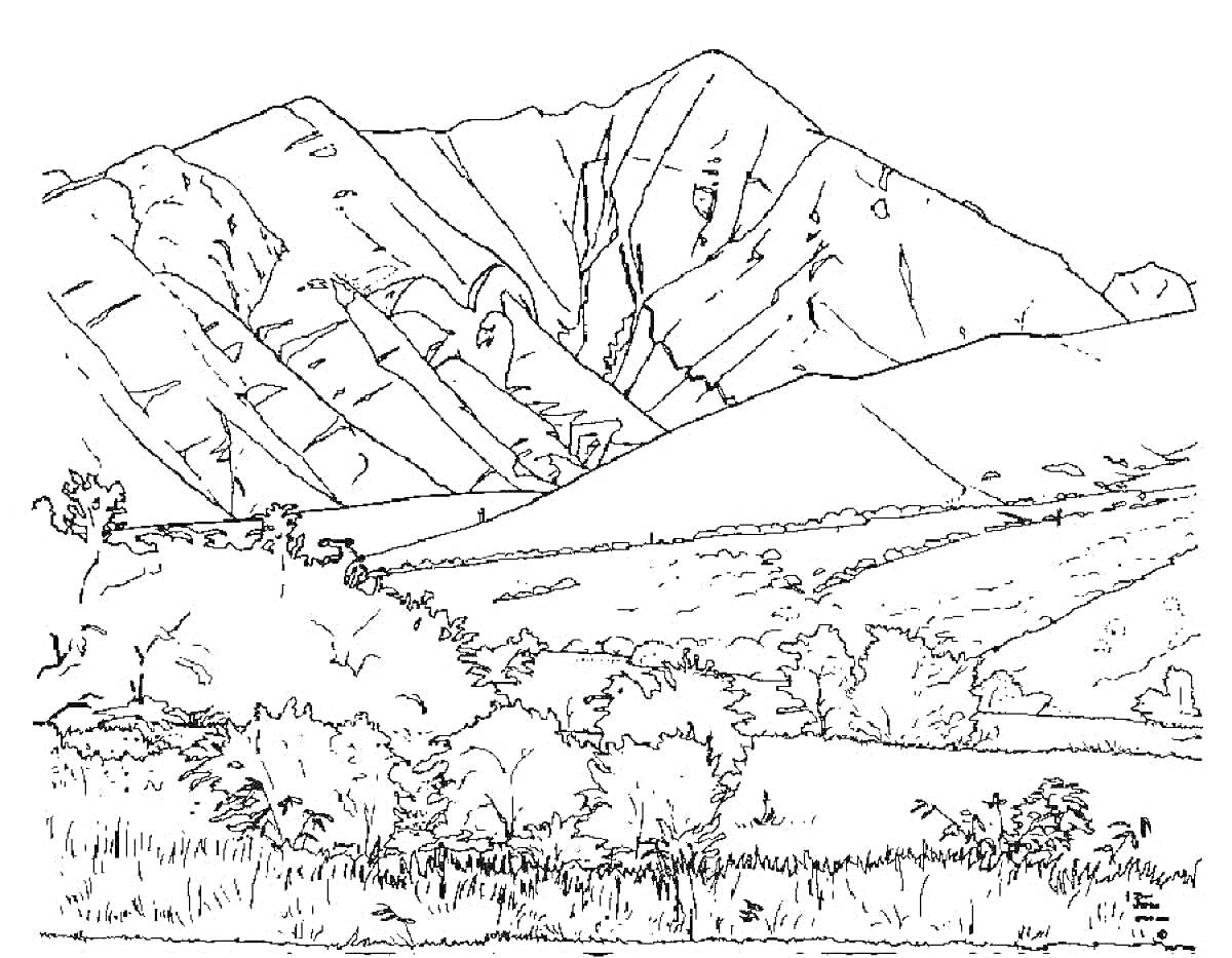 Раскраска Горы с деревьями и кустарниками на переднем плане