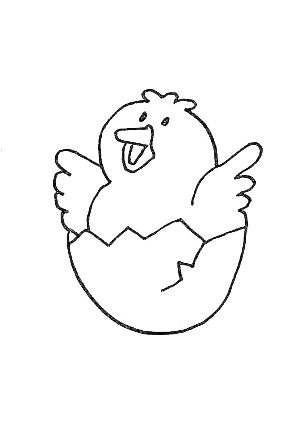 На раскраске изображено: Вылупление, Крылья, Клюв, Для детей