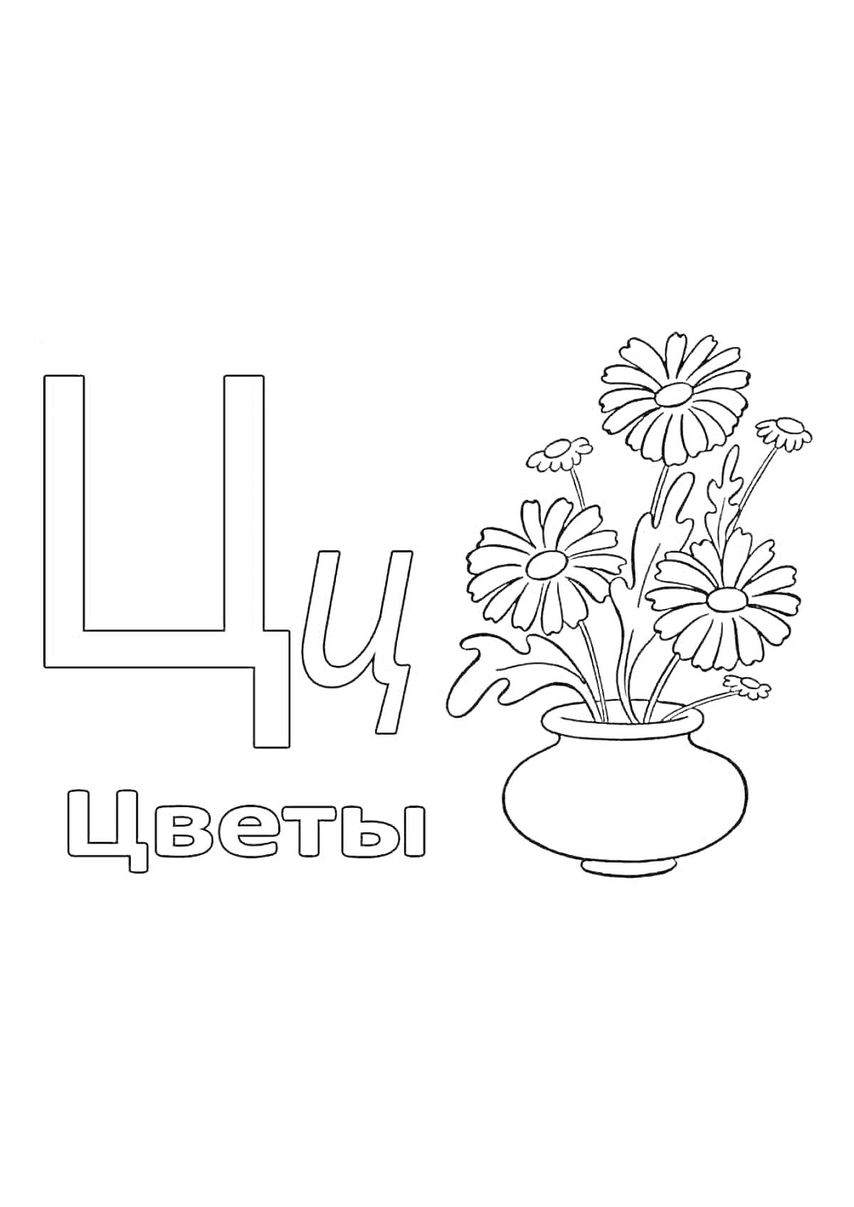 На раскраске изображено: Буква Ц, Цветы, Ваза, Для детей, Первый класс, Обучение, Русский алфавит, Школьная программа