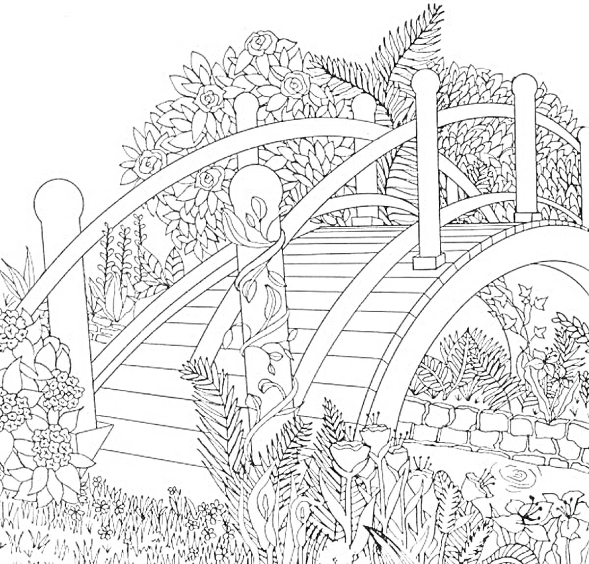 На раскраске изображено: Сад, Цветы, Кусты, Растения, Арка, Листва, Мост, Тропа