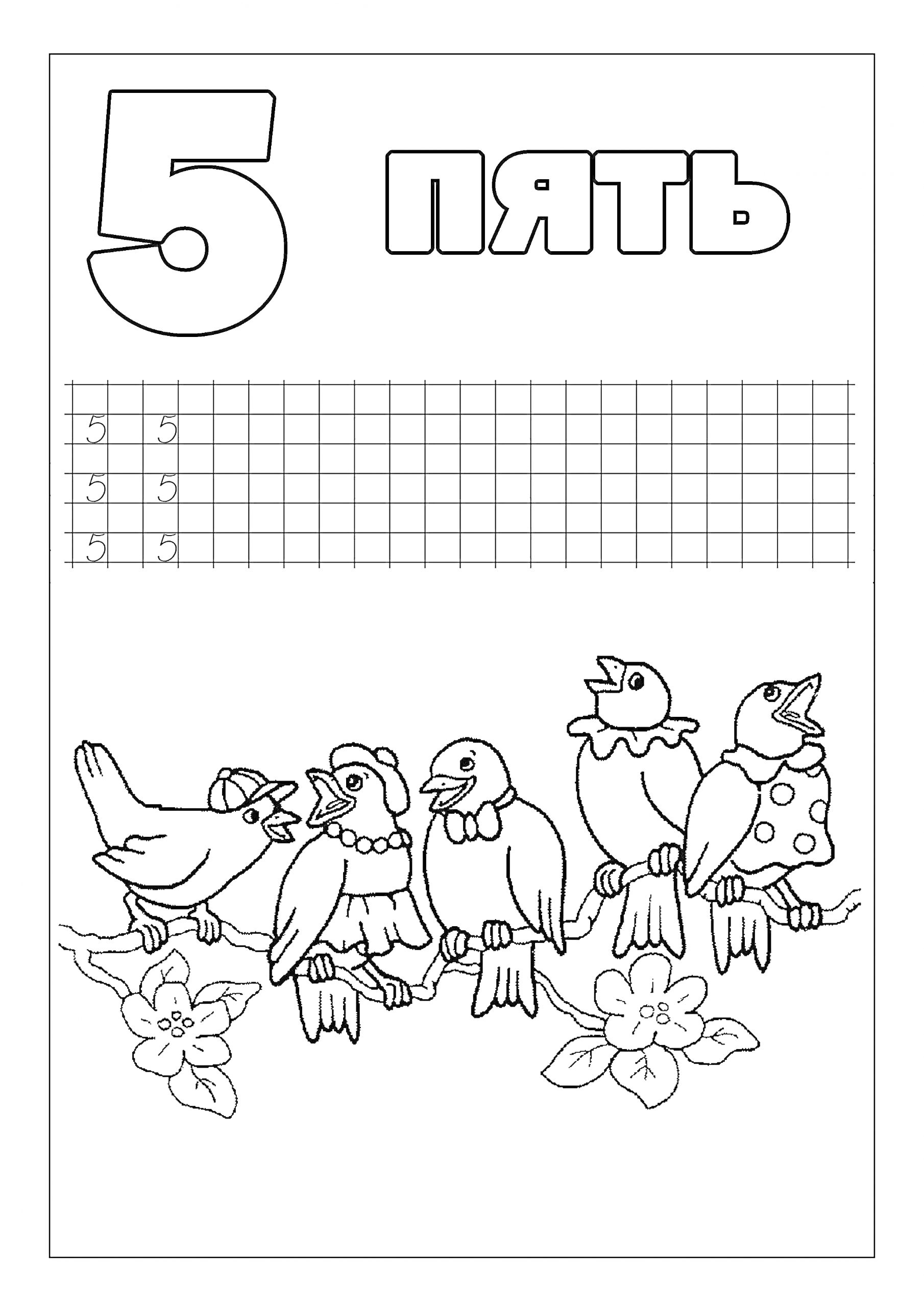 Раскраска Цифра 5 с пятью птицами на ветке, цветами и таблицей для написания цифры 5