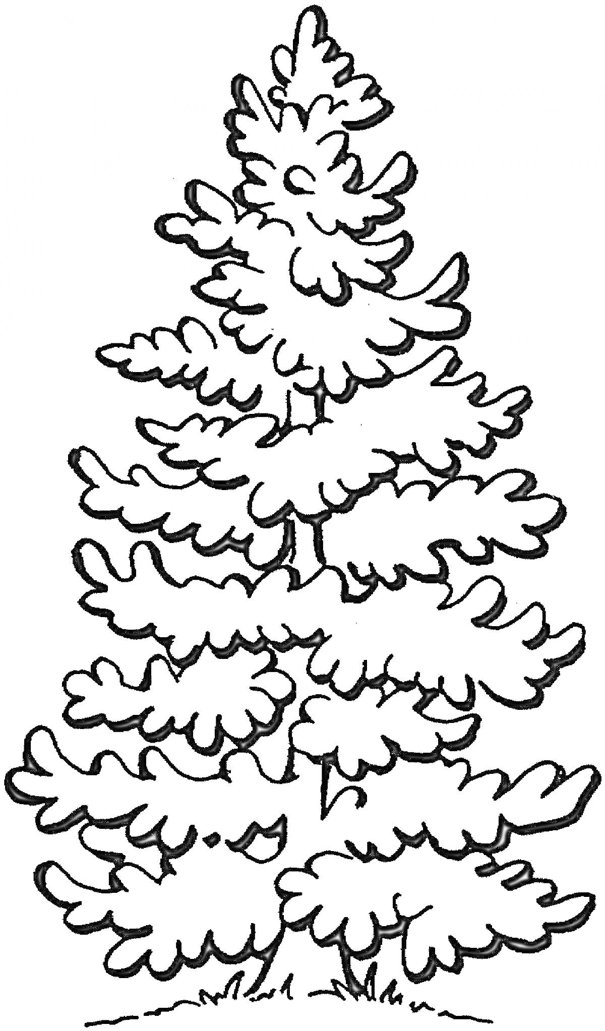 На раскраске изображено: Трава, Зима, Природа, Лес, Деревья, Ветка, Елки, Хвойные деревья