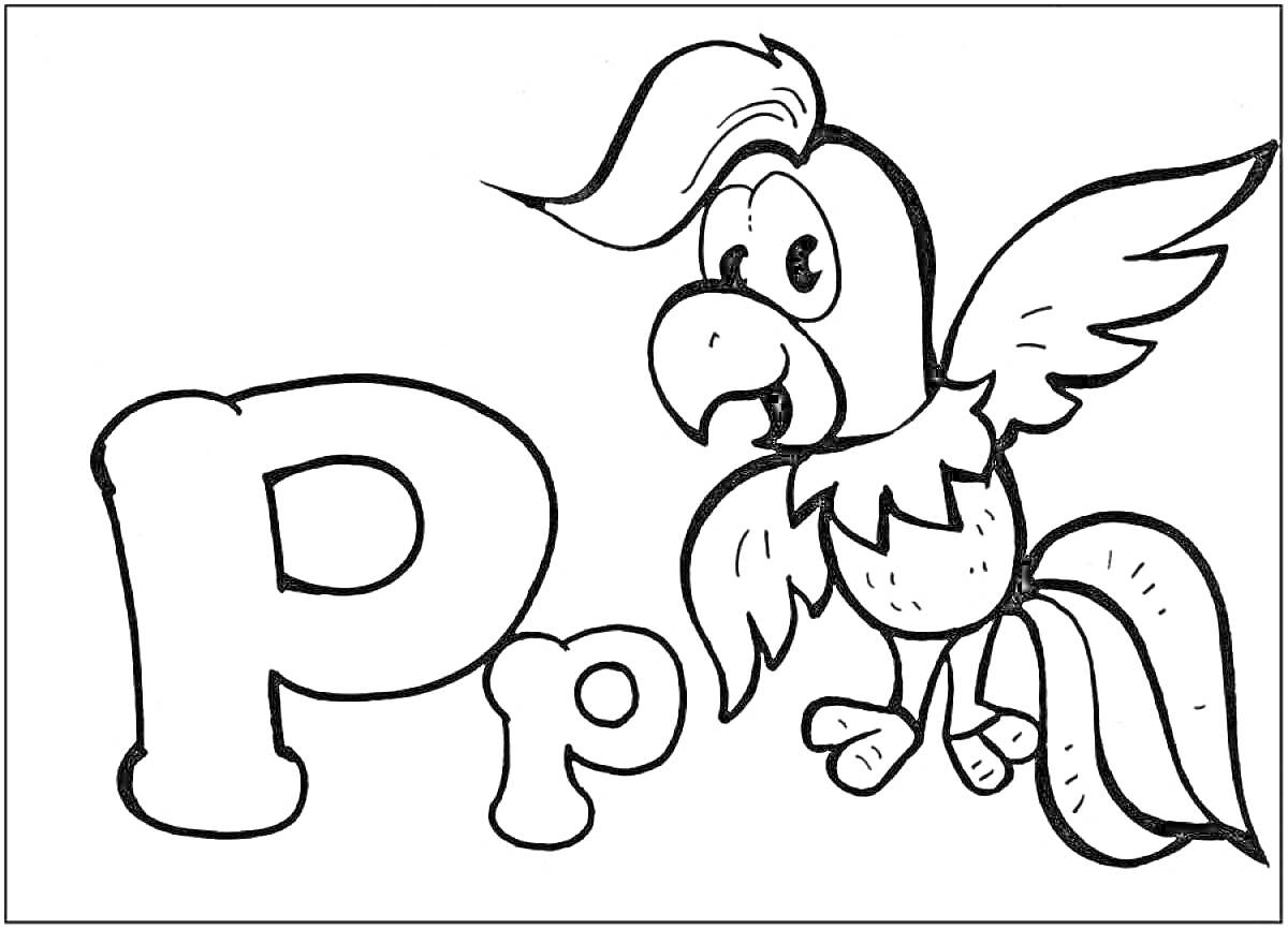 Раскраска Буква P с попугаем