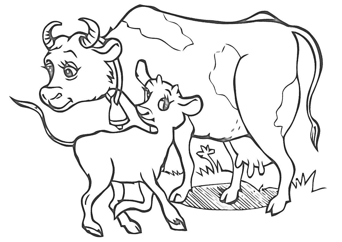 Раскраска Корова и теленок на пастбище с травой и колокольчиком.