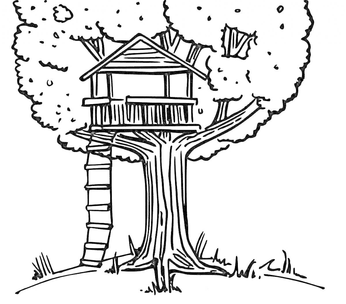 Раскраска дом на дереве с лестницей и листиками, фон в виде большого дерева