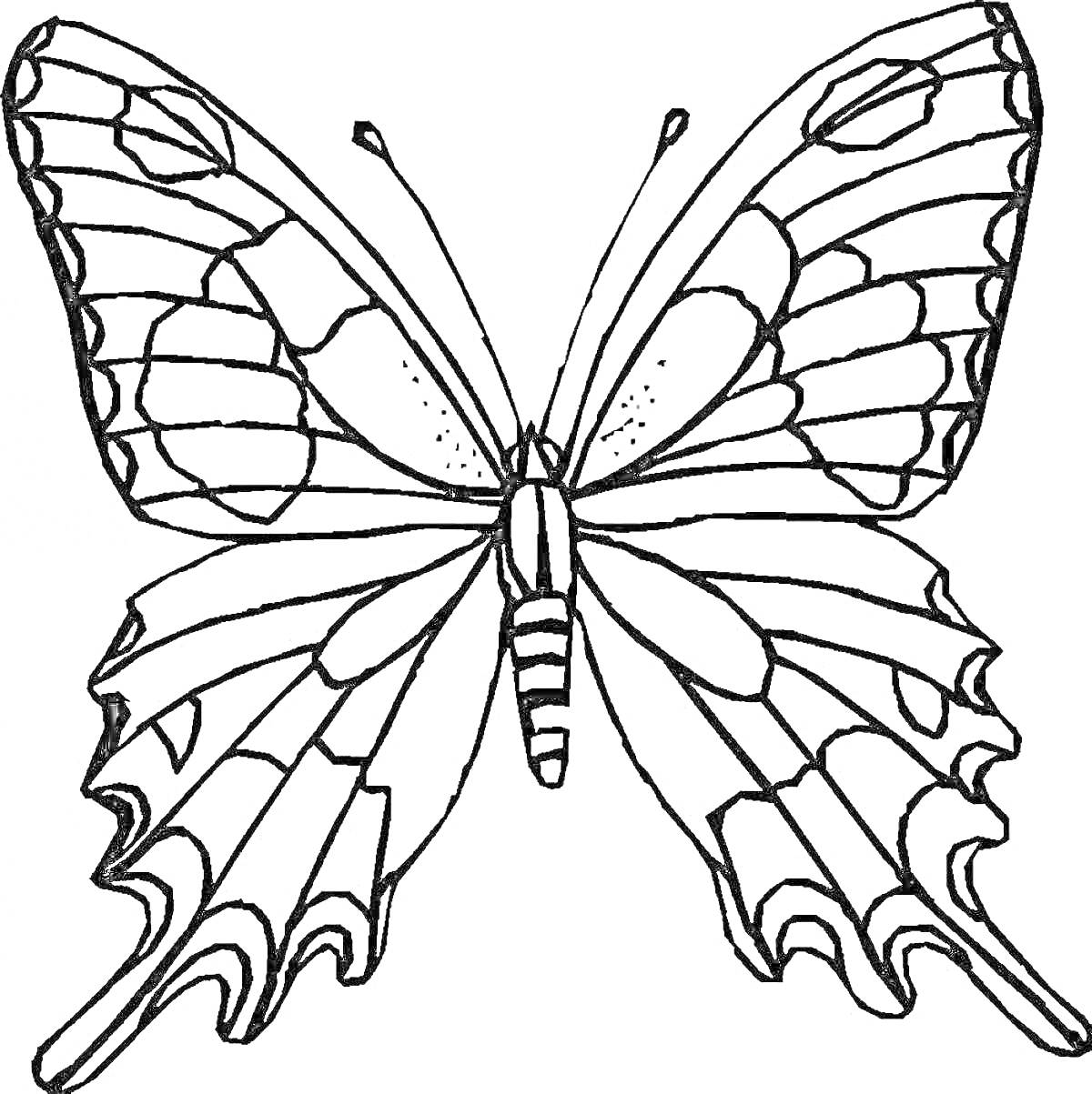 На раскраске изображено: Бабочка, Насекомое, Крылья, Узоры, Симметрия, Красивые